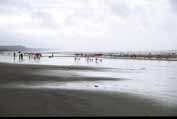Nejdelší pláž světa v Cox's Bazaru. Je dlouhá kolem 30 kilometrů. Bangladéš.