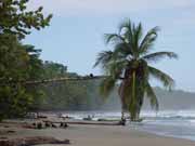 Pláž v Manzanillo. Kostarika.