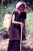Žena z horského kmene Pa-O. Oblast jezera Inle. Myanmar (Barma).