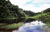 Jezírko. Oblast Kalaw. Myanmar (Barma).