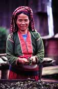 Sušení čaje. Oblast okolo vesnice Kalaw. Myanmar (Barma).