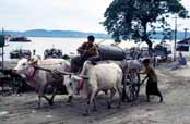U řeky Ayeyarwady v Mandalay. Myanmar (Barma).