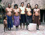 Domorodci z kmene Dani. Papua,  Indonésie.
