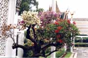 Bangkok. Královský palác. Thajsko.