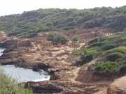 Tipaza. Alžírsko.