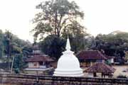 Dalada Maligawa (chrám Budhova zubu) - chrám kde je uložen svatý budhův zub. Kendy. Srí Lanka.