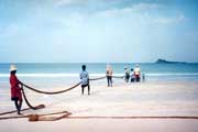 Rybáři tahají nekolik set metrů dlohé sítě za hlasitého zpěvu. Arugam Bay. Srí Lanka.