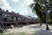 Saham longhouse - 140 km od Pontianaku. Kalimantan, Indonsie.