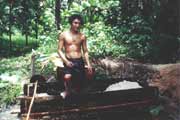 Zpracování sága. Ostrov Siberut. Sumatra, Indonésie.