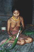 Sušení ságové mouky. Ostrov Siberut. Sumatra, Indonésie.