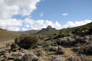 Národní park Bale Mountain. Etiopie.
