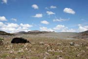 Krajina v Nrodnm parku Bale mountains. Jih,  Etiopie.