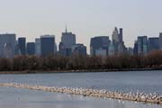 Cental Park, Manhattan, New York. Spojen� st�ty americk�.