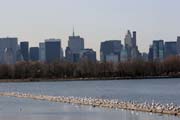 Cental Park, Manhattan, New York. Spojen stty americk.