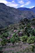 Tradiční vesnice Daniů. Papua,  Indonésie.