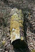 Osceola, Údolí řeky St Croix, Wisconsin. Spojené státy americké.