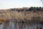 Údolí řeky St Croix, Minnesota. Spojené státy americké.