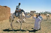 Velbloud trh na okraji trhu Lybia. Chartm (Omdurman). Sdn.