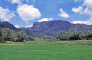 Rýžoviště, oblast Tana Toraja. Sulawesi,  Indonésie.