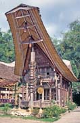 Tradiční dům tongkonan, oblast Tana Toraja. Indonésie.