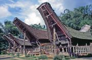 Tradiční domy tongkonan, oblast Tana Toraja. Indonésie.