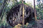 Hroby jsou v dnešní době tesány ve skalách. Oblast Tana Toraja. Indonésie.