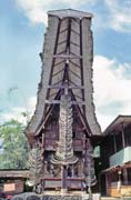 Tradiční dům tongkonan, oblast Tana Toraja. Indonésie.