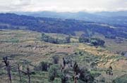 Pohled na krajinu v oblasti Tana Toraja. Indonésie.