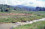 Rýžoviště, údolí Mamasa, oblast Tana Toraja. Indonésie.