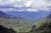 Krajina na cest z msteka Mamasa do Rantepao. Oblast Tana Toraja. Sulawesi,  Indonsie.