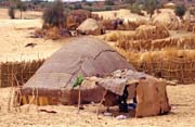 Obydlí Tuaregů na kraji města Timbuktu (Tombouctou). Mali.