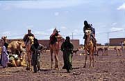 Trh s dobytkem ve vesnici Dj�bok. Mali.