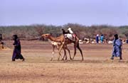 Trh s dobytkem ve vesnici Djbok. Mali.
