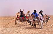Tuaregové na cestě za novým obydlím. Poušť Sahara. Mali.