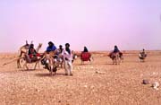Tuaregové na cestě za novým obydlím. Poušť Sahara. Mali.