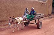 Na tradiční pondělní trh se sjíždějí stovky vesničanů, město Djenné. Mali.