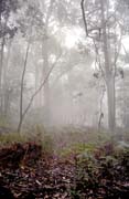 Národní park Grampians. Austrálie.