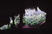 Jeskyně Niah. Sarawak,  Malajsie.