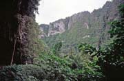 Okol jeskyn Niah. Malajsie.