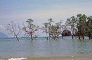 Národní park Bako. Sarawak,  Malajsie.