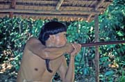 Ukzka stelby z foukaek etnika Punan. Kulturn vesnice u Kuchingu. Sarawak,  Malajsie.