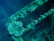Vrak holandské obchodní lodi potopené v roce 1942. Potápění u ostrova Bunaken, lokalita Molas Wreck. Sulawesi,  Indonésie.