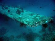 Potpn u ostrova Biak, lokalita Catalina wreck. Papua,  Indonsie.