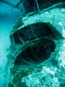 Potpn u ostrova Biak, lokalita Catalina wreck. Papua,  Indonsie.