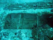 Potpn u ostrova Biak, lokalita Catalina wreck. Papua,  Indonsie.