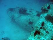 Potpn u ostrova Biak, lokalita Catalina wreck. Papua,  Indonsie.