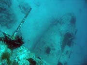 Potpn u ostrova Biak, lokalita Catalina wreck. Papua, Indonsie.