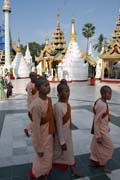 Shwedagon Paya, Yangon. Myanmar (Barma).