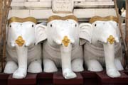 Shwedagon Paya, Yangon. Myanmar (Barma).