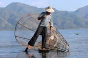 Tradiční lov ryb, jezero Inle. Myanmar (Barma).
